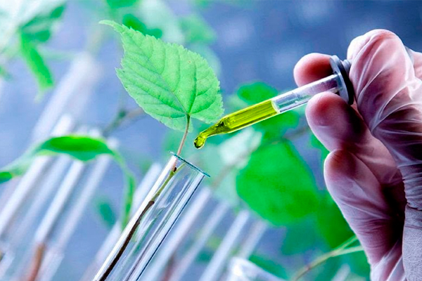 BIotecnologia vegetal